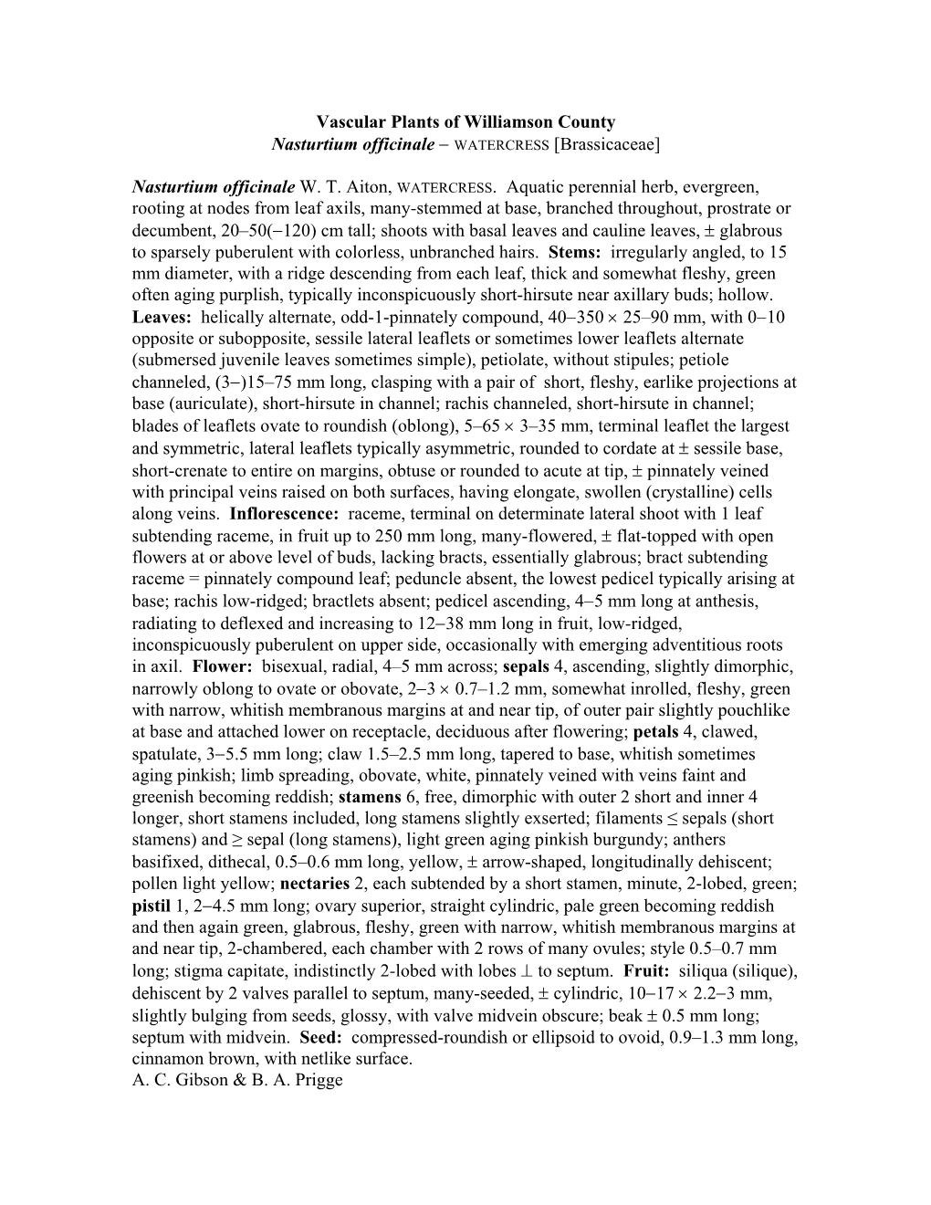 Vascular Plants of Williamson County Nasturtium Officinale − WATERCRESS [Brassicaceae]