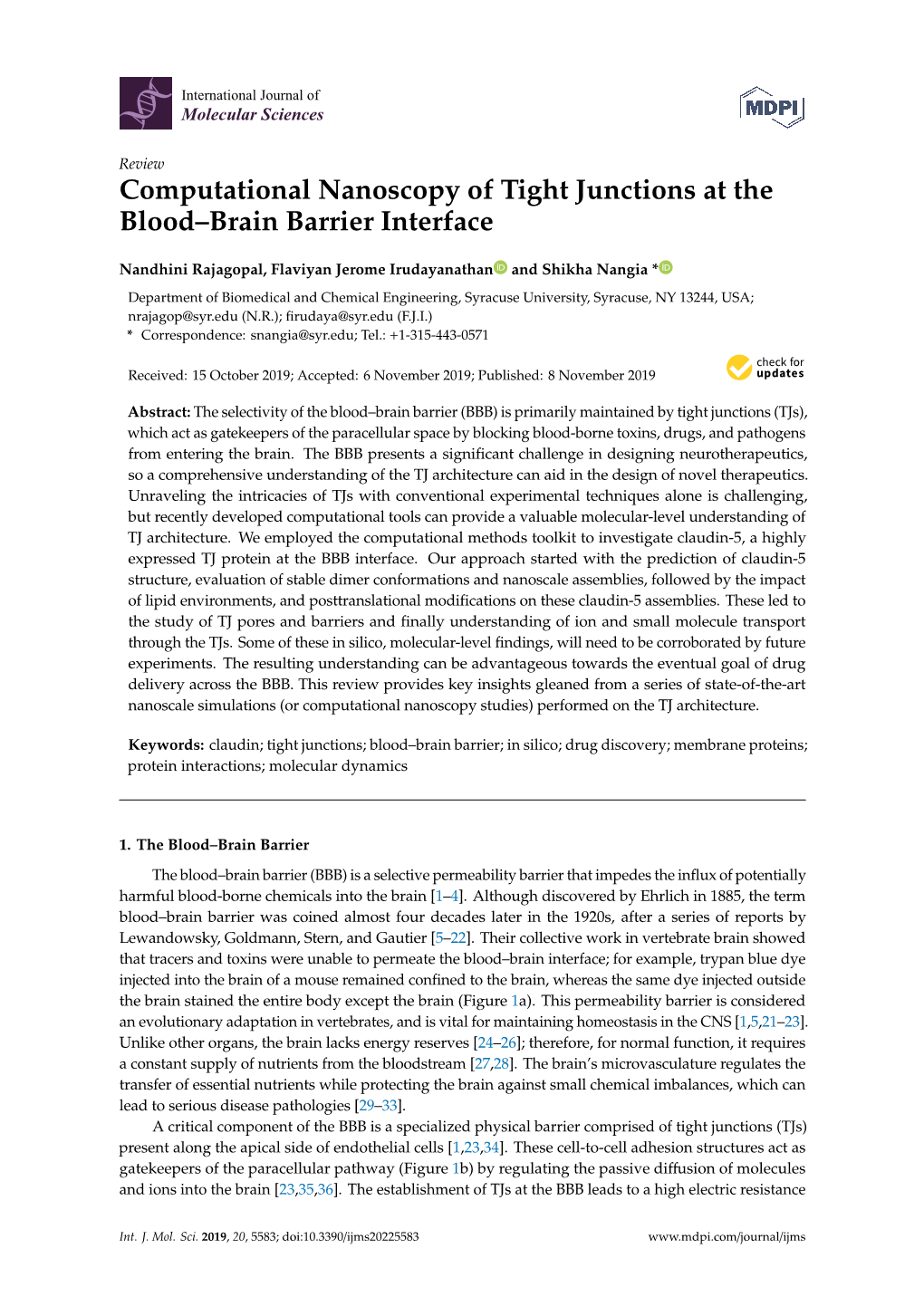 Computational Nanoscopy of Tight Junctions at the Blood–Brain Barrier Interface