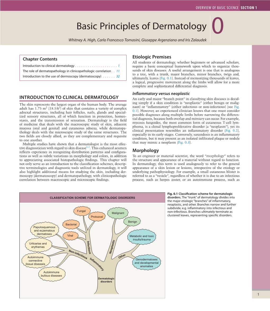 Basic Principles of Dermatology 0 Whitney A