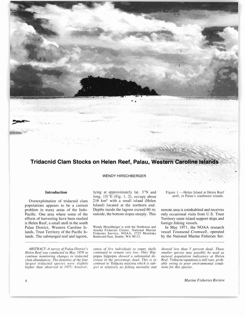 Tridacnid Clam Stocks on Helen Reef, Palau, Western Carounels Sli~S