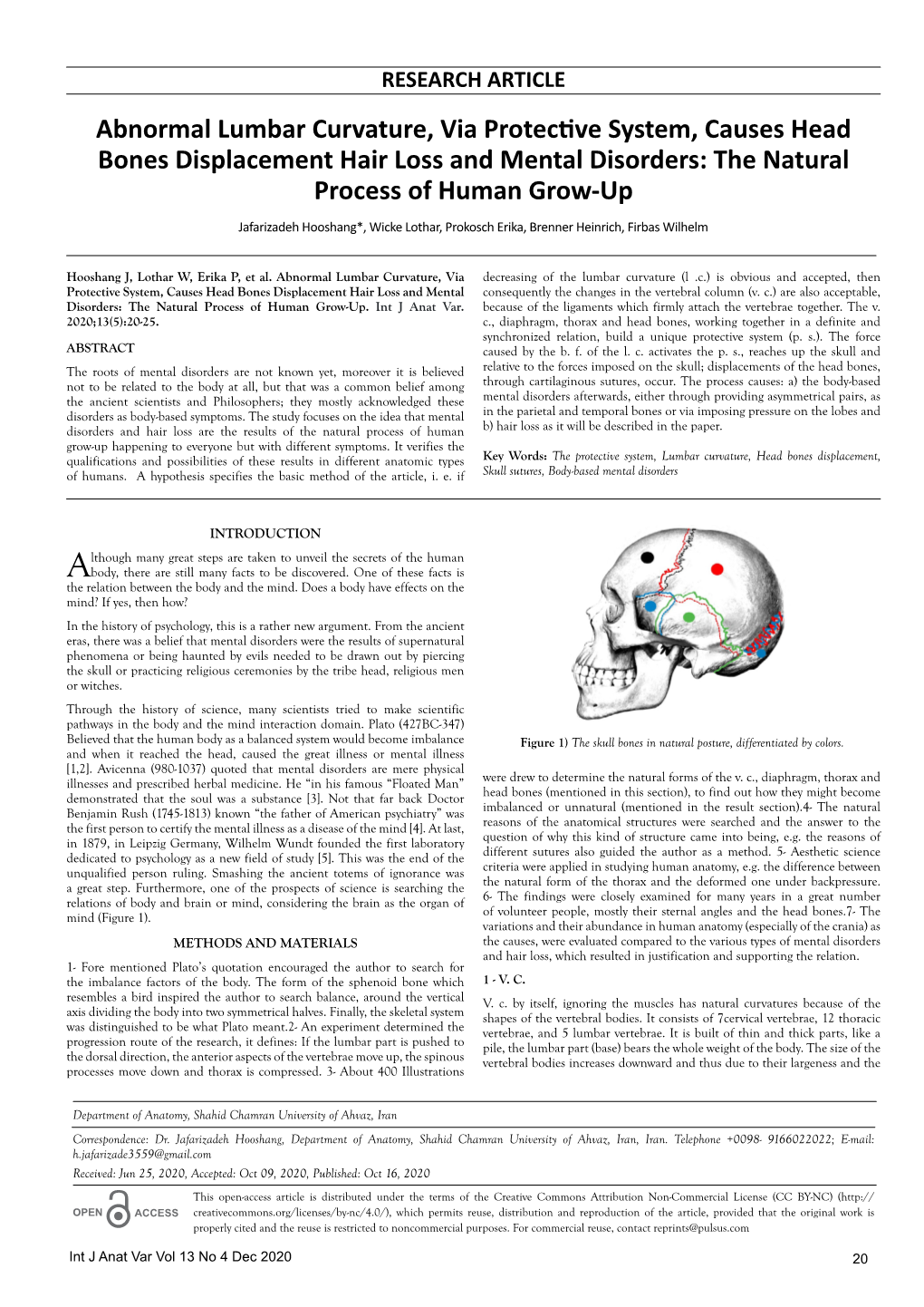 Abnormal Lumbar Curvature, Via Protective System, Causes Head Bones Displacement Hair Loss and Mental Disorders: the Natural Process of Human Grow-Up