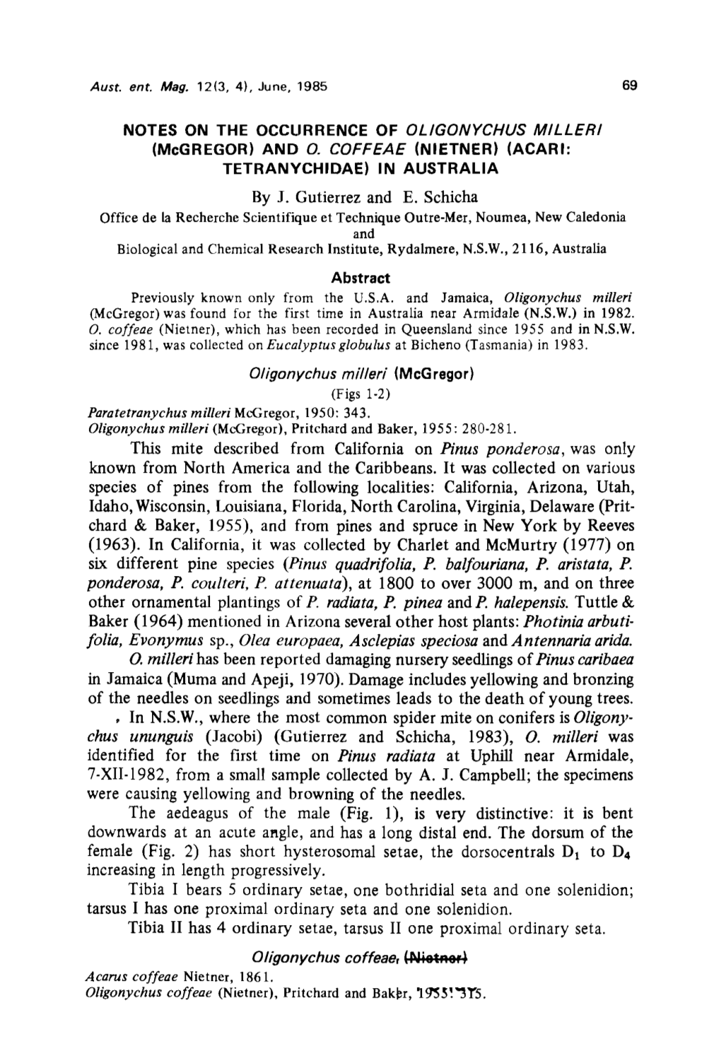 Notes on the Occurrence of Oligonychus Milleri (Mcgregor) and O. Coffeae (Nietner) (Adari : Tetranychidae) in Australia