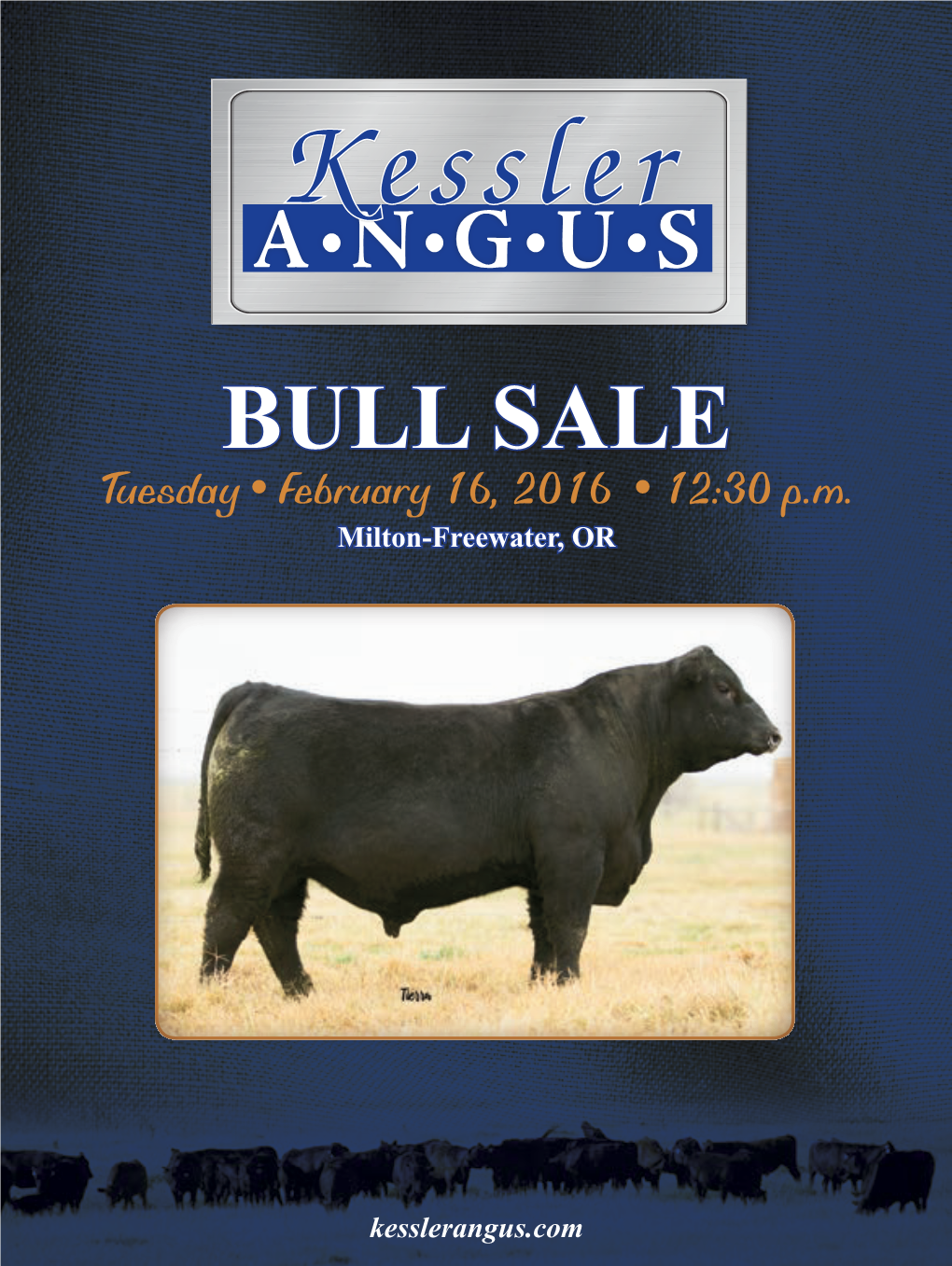 BULL SALE Tuesday • February 16, 2016 • 12:30 P.M