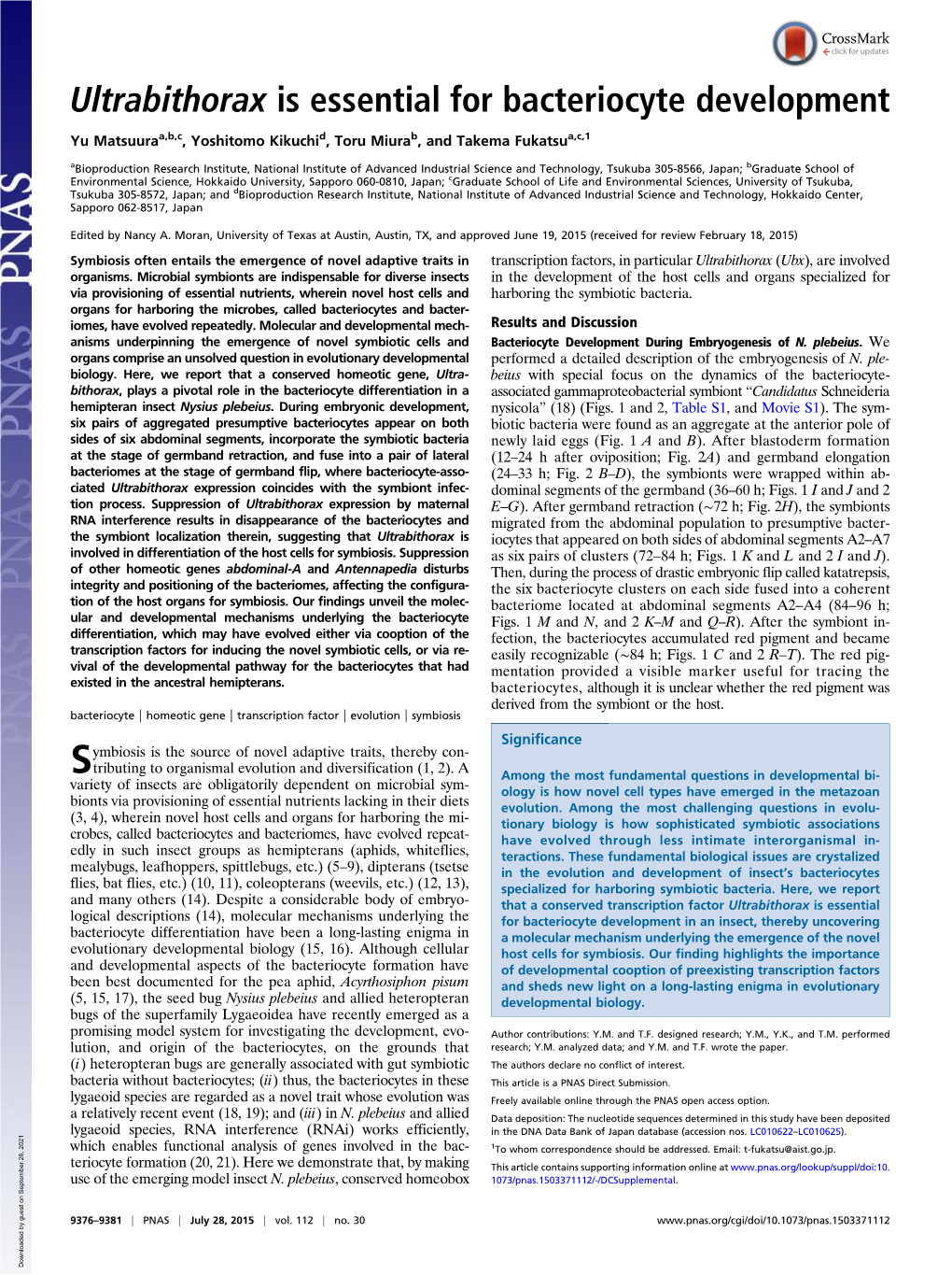 Ultrabithorax Is Essential for Bacteriocyte Development