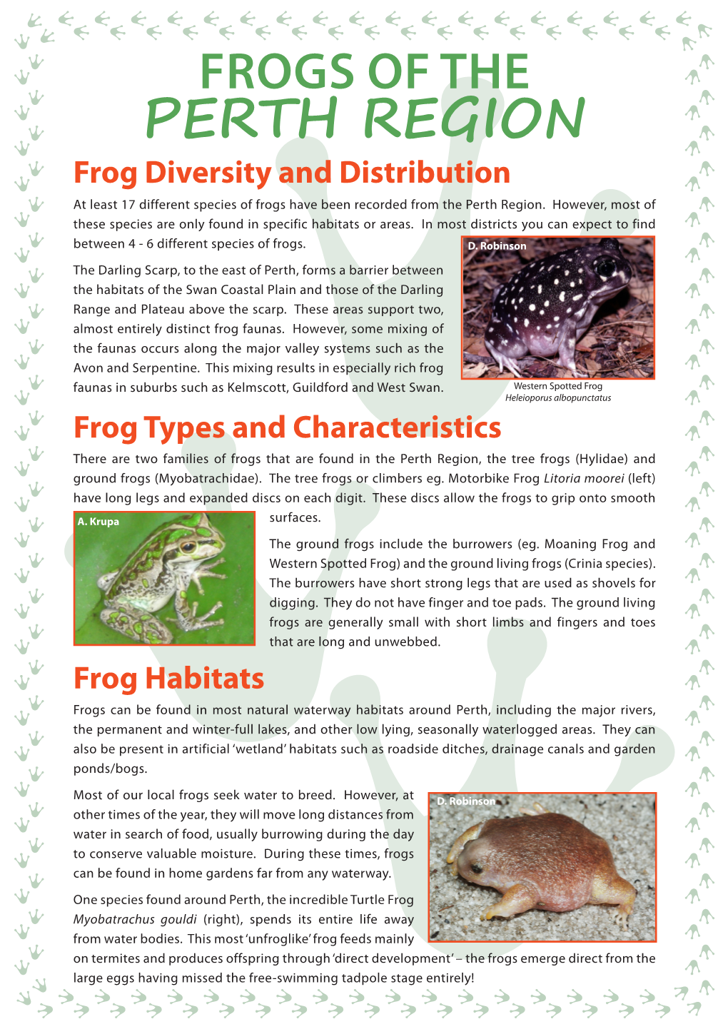FROGS of the PERTH REGION Frog Diversity and Distribution at Least 17 Different Species of Frogs Have Been Recorded from the Perth Region