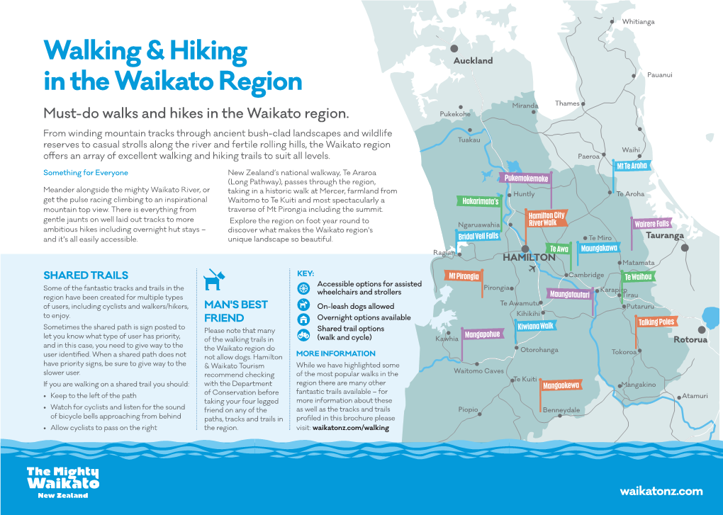 Walking & Hiking in the Waikato Region