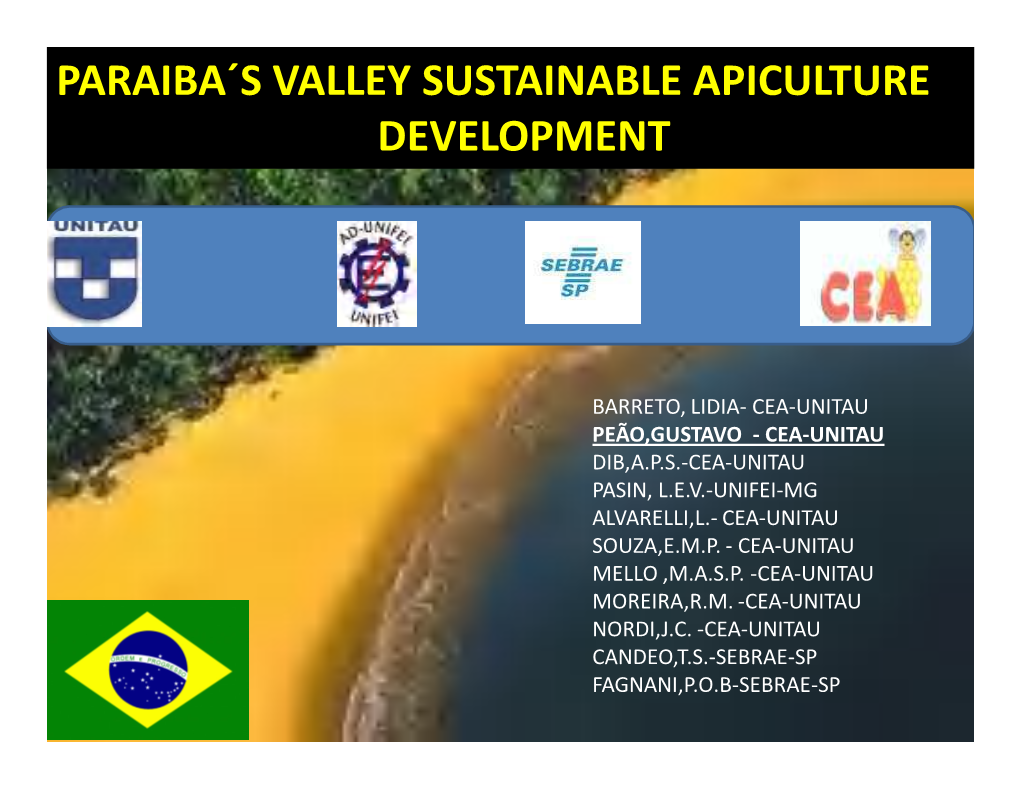 Paraiba´S Valley Sustainable Apiculture Development