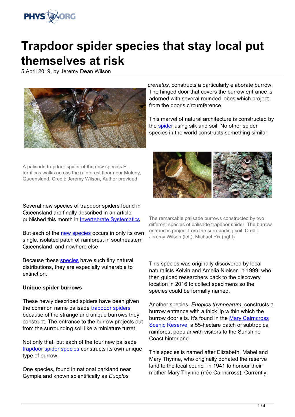 Trapdoor Spider Species That Stay Local Put Themselves at Risk 5 April 2019, by Jeremy Dean Wilson