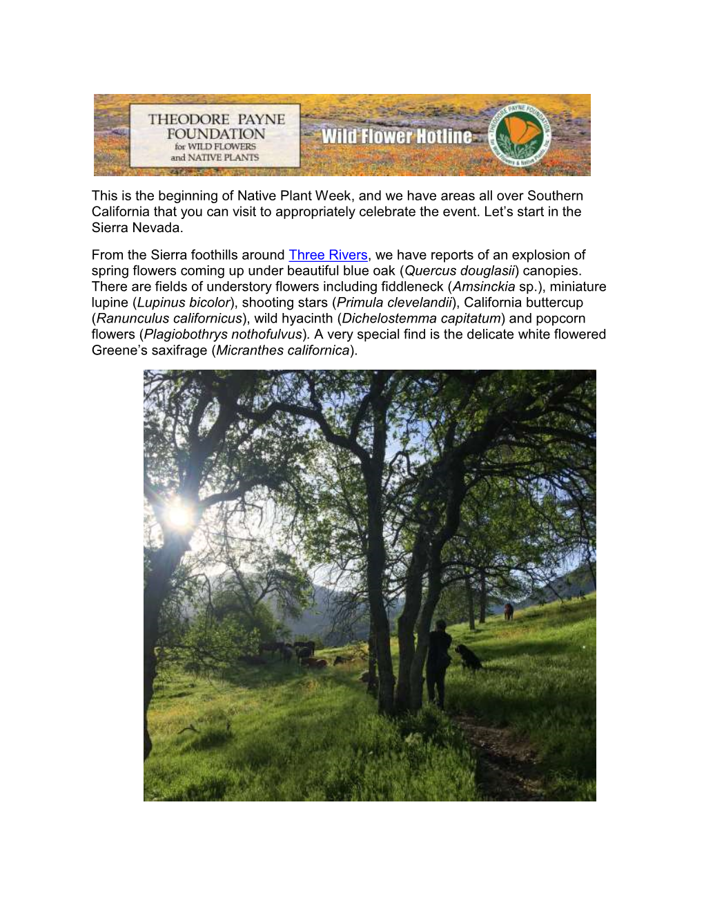 This Is the Beginning of Native Plant Week, and We Have Areas All Over Southern California That You Can Visit to Appropriately Celebrate the Event