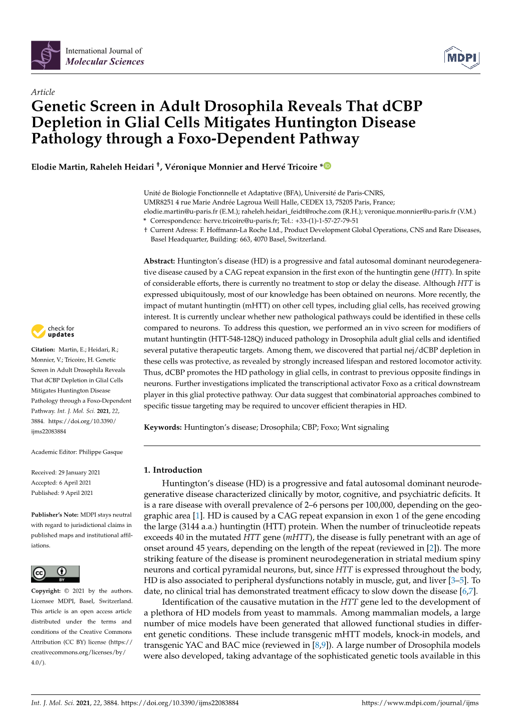 Genetic Screen in Adult Drosophila Reveals That Dcbp Depletion in Glial Cells Mitigates Huntington Disease Pathology Through a Foxo-Dependent Pathway