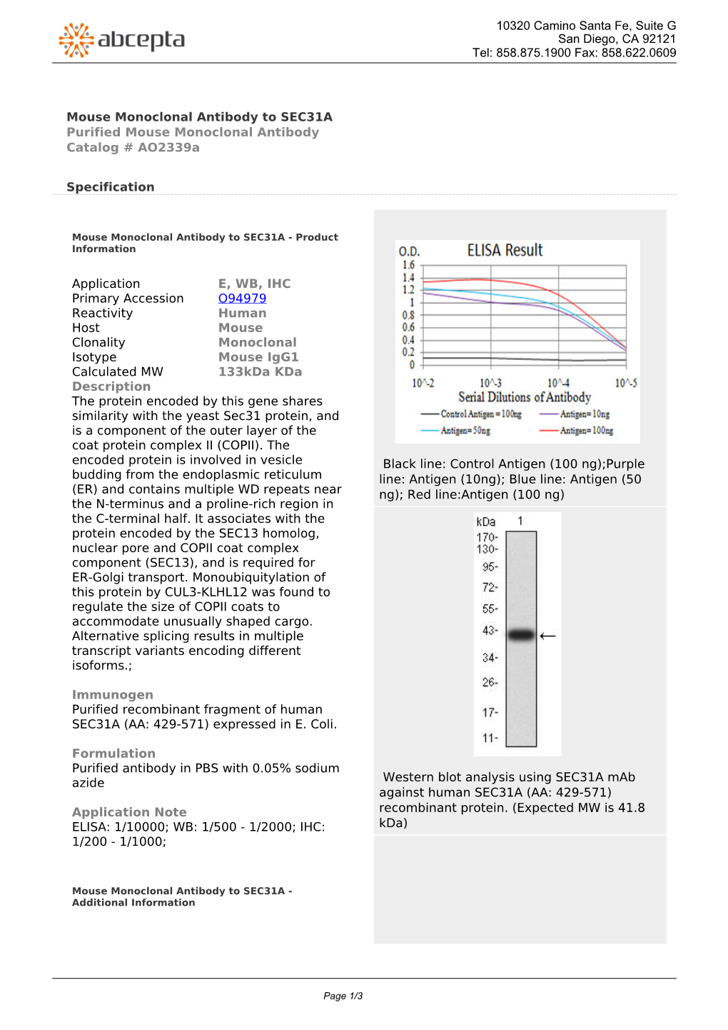 Mouse Monoclonal Antibody to SEC31A Purified Mouse Monoclonal Antibody Catalog # Ao2339a