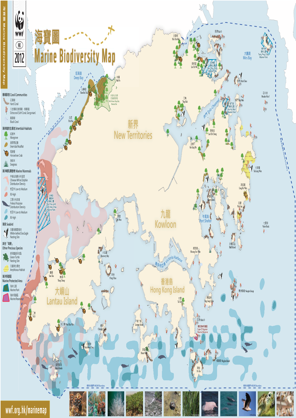 Marine Biodiversity Map