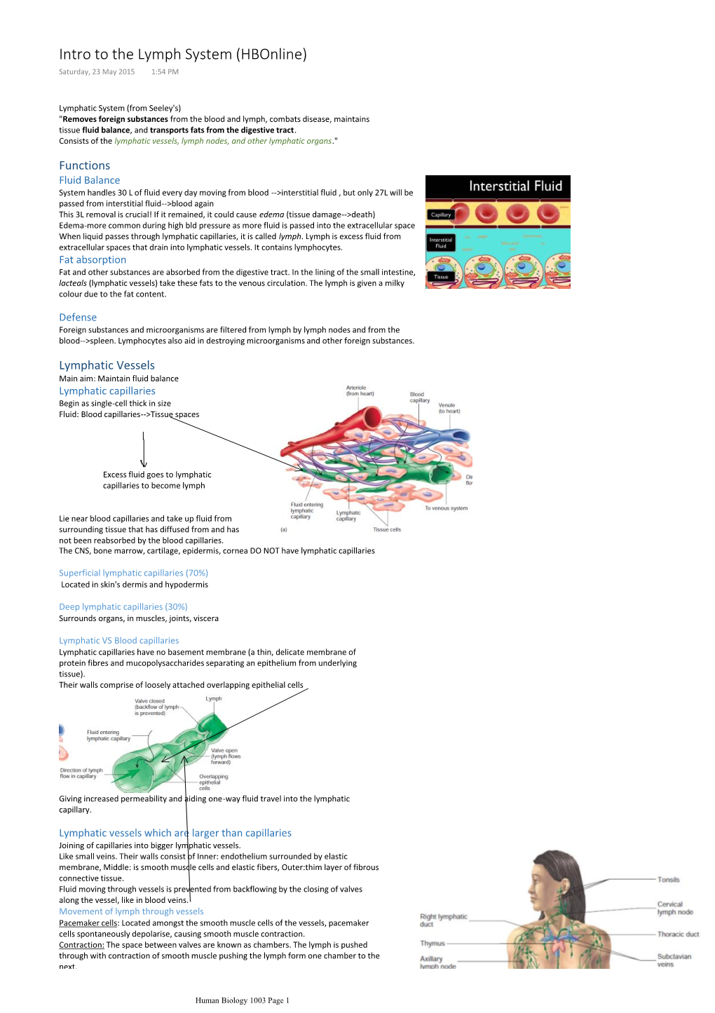 Intro to the Lymph System (Hbonline) Saturday, 23 May 2015 1:54 PM