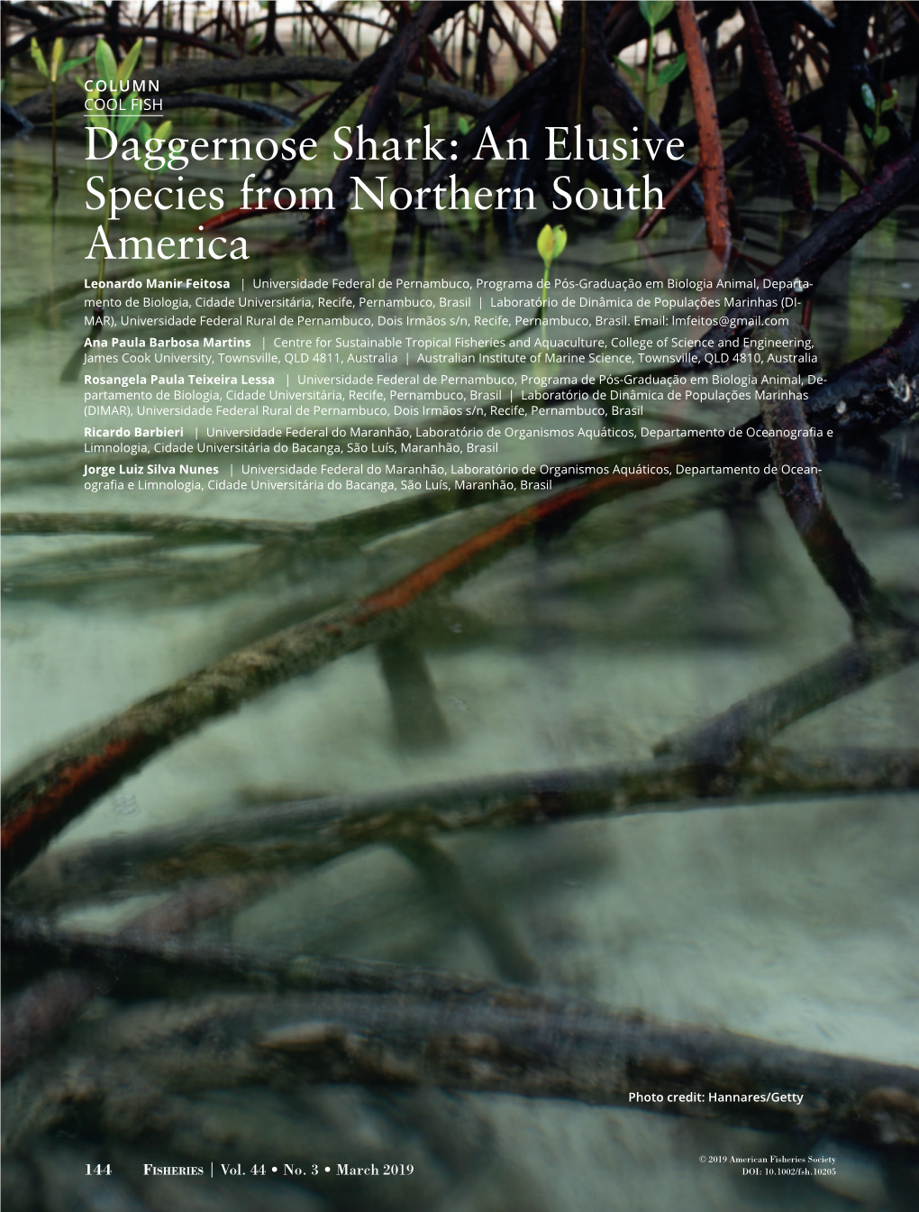 Daggernose Shark: an Elusive Species from Northern South America