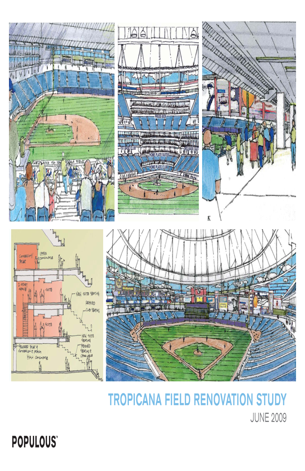 Tropicana Field Renovation Study June 2009 Contents