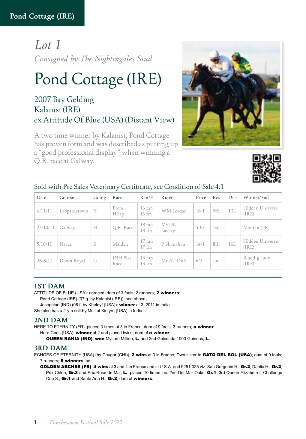 Pond Cottage (IRE)