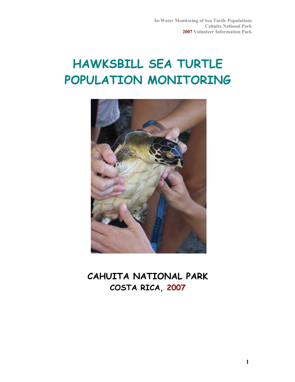 The Hawksbill Sea Turtle