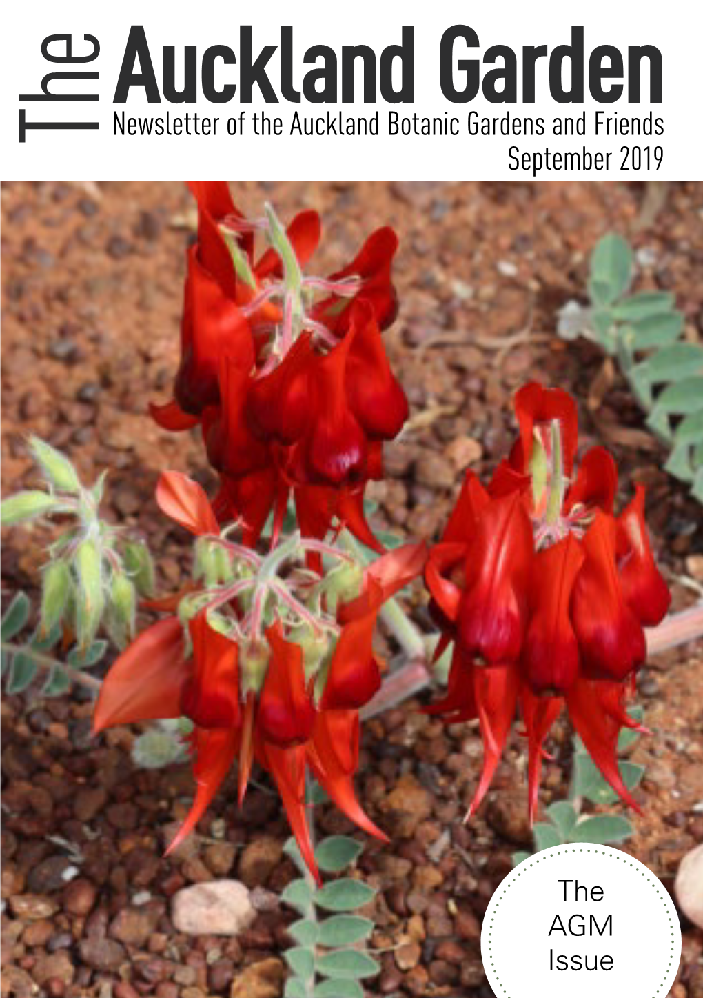 Auckland Garden Newsletter of the Auckland Botanic Gardens and Friends the September 2019