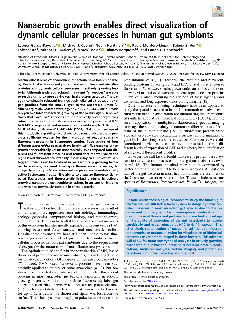 Nanaerobic Growth Enables Direct Visualization of Dynamic Cellular Processes in Human Gut Symbionts