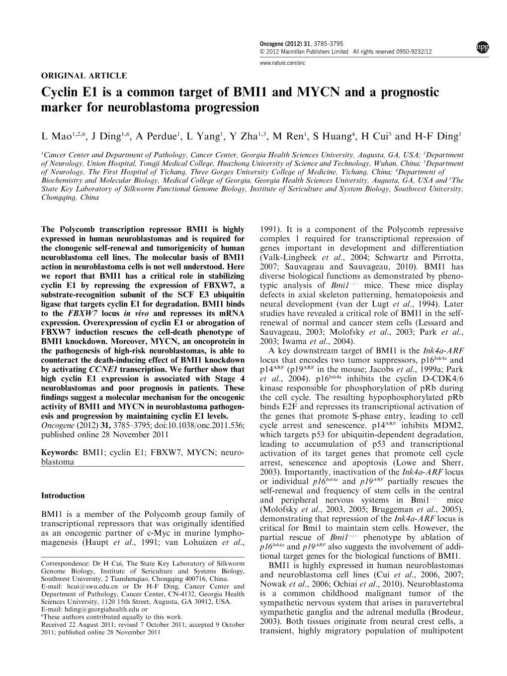 Cyclin E1 Is a Common Target of BMI1 and MYCN and a Prognostic Marker for Neuroblastoma Progression