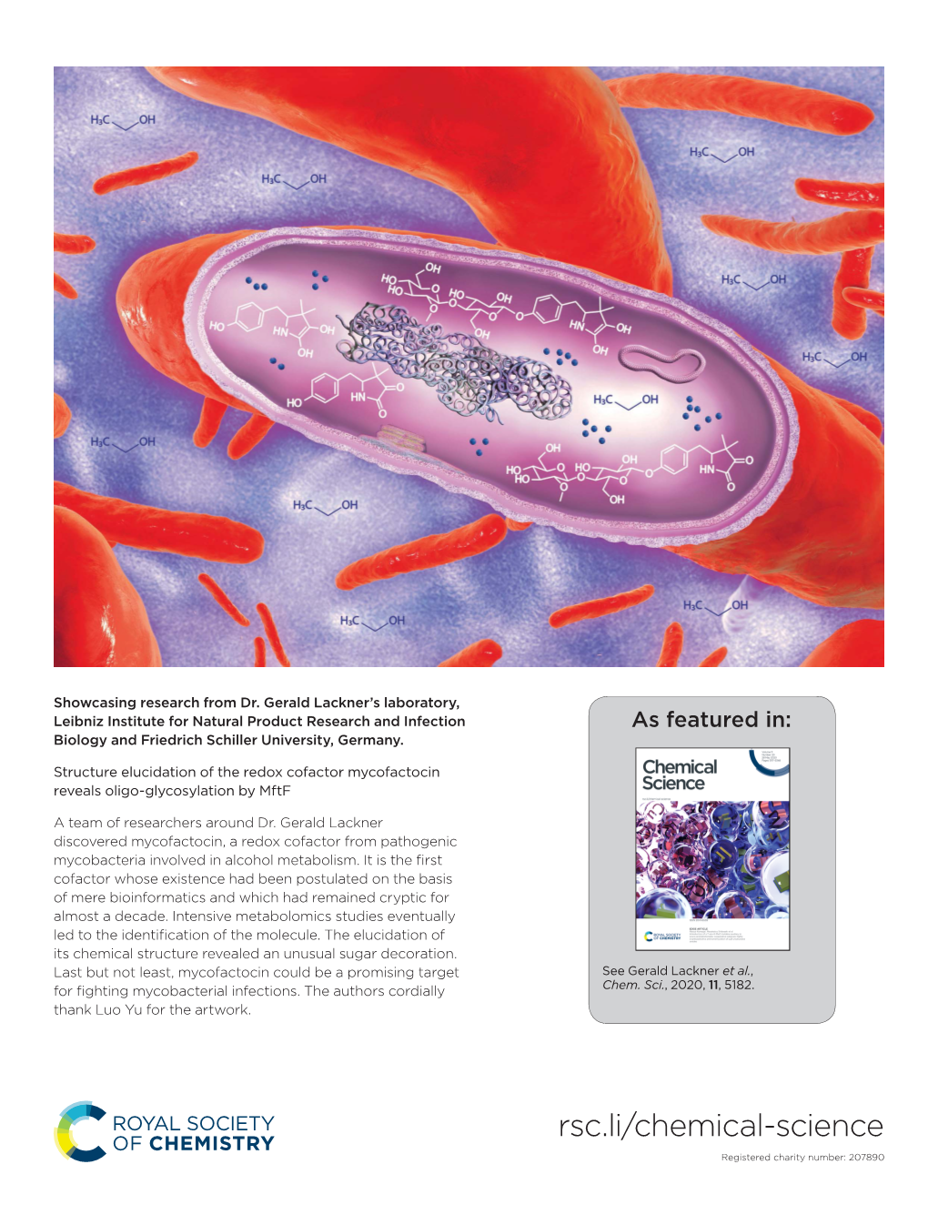 Structure Elucidation of the Redox Cofactor Mycofactocin Reveals Oligo-Glycosylation by Mftf