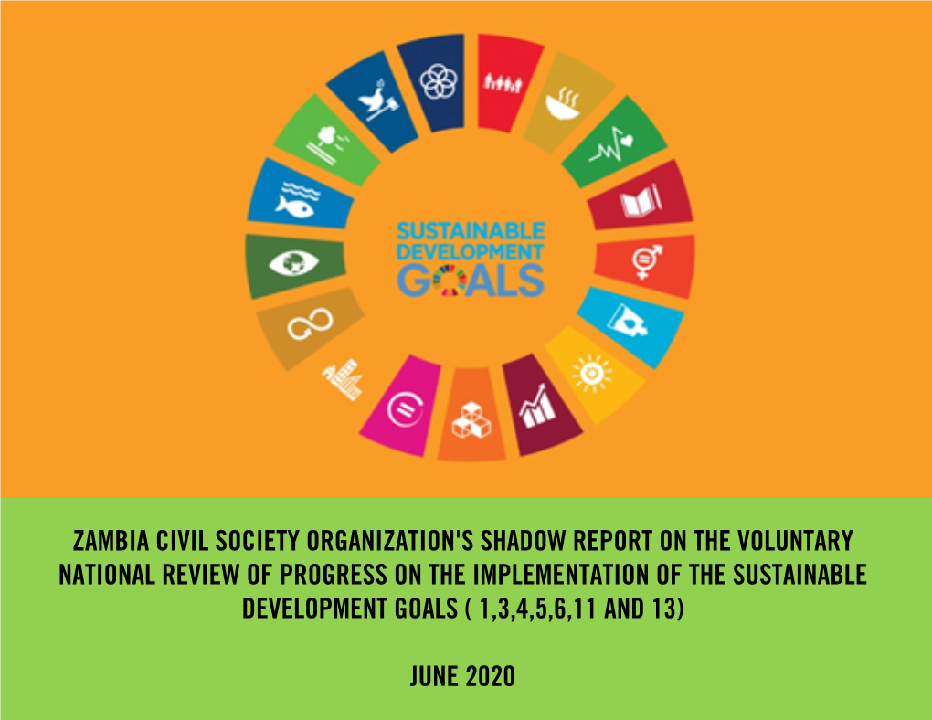 Zambia Civil Society Organization's Shadow Report on the Voluntary