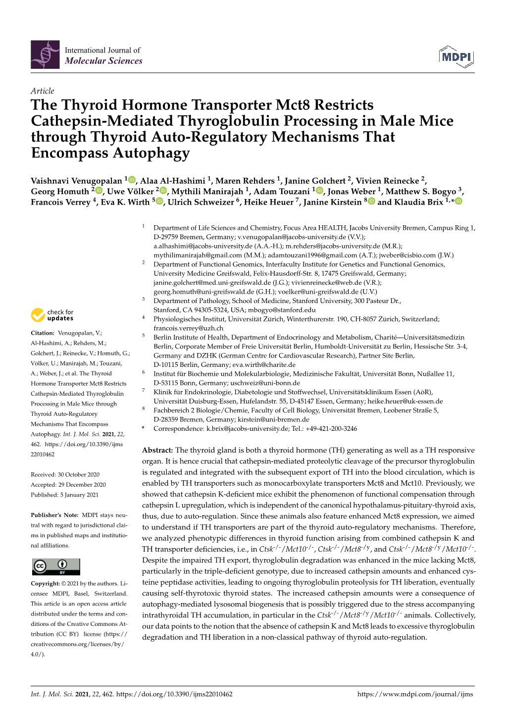 The Thyroid Hormone Transporter Mct8 Restricts Cathepsin-Mediated