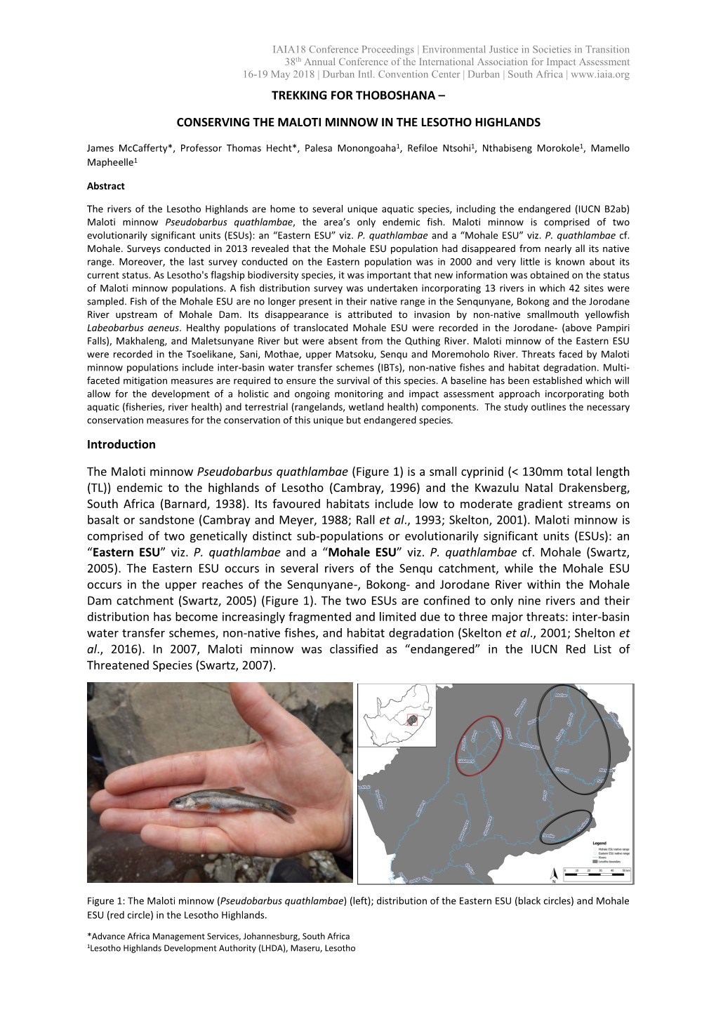 Conserving the Maloti Minnow in the Lesotho Highlands