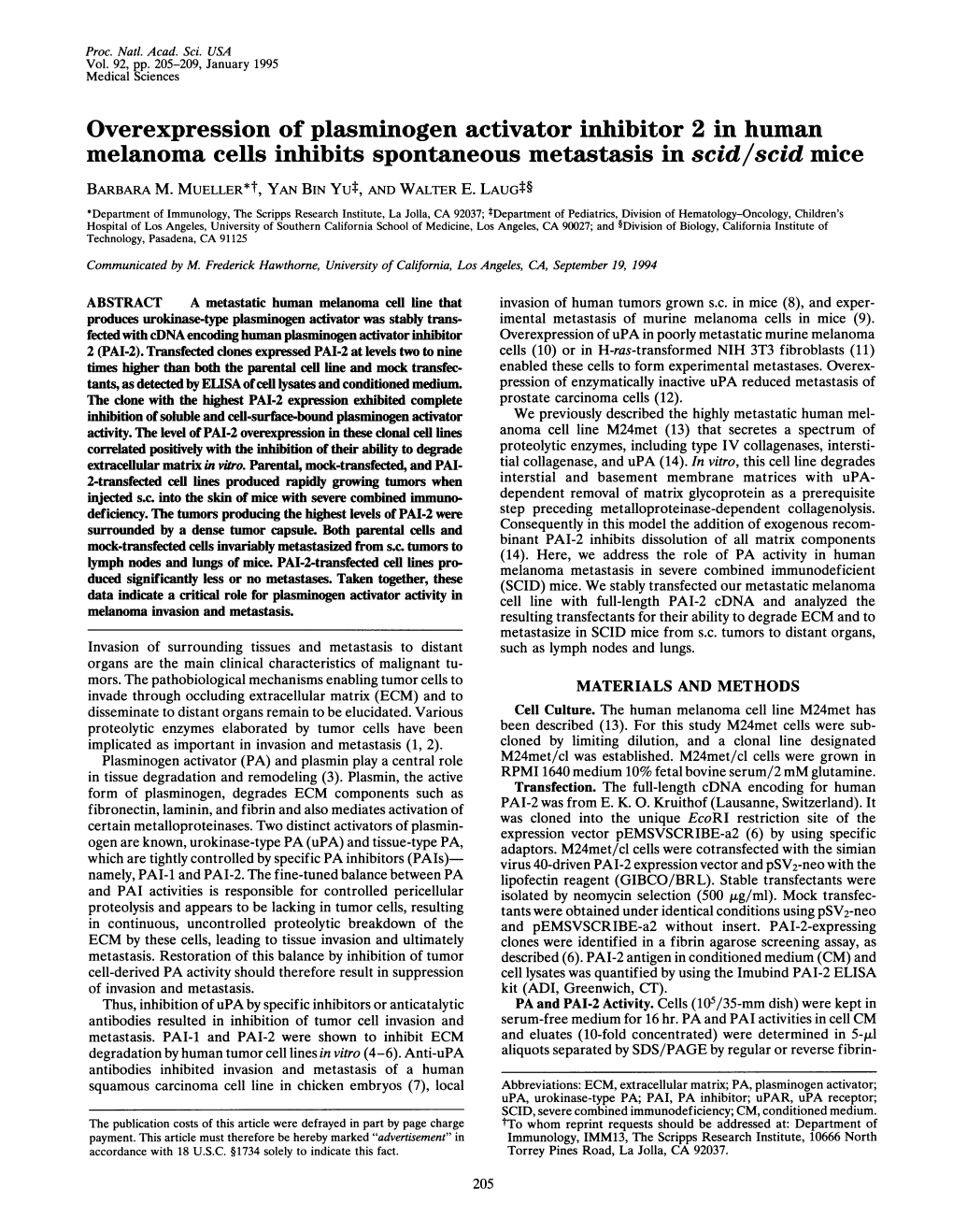 Overexpression of Plasminogen Activator Inhibitor 2 in Human Melanoma Cells Inhibits Spontaneous Metastasis in Scid/Scid Mice BARBARA M