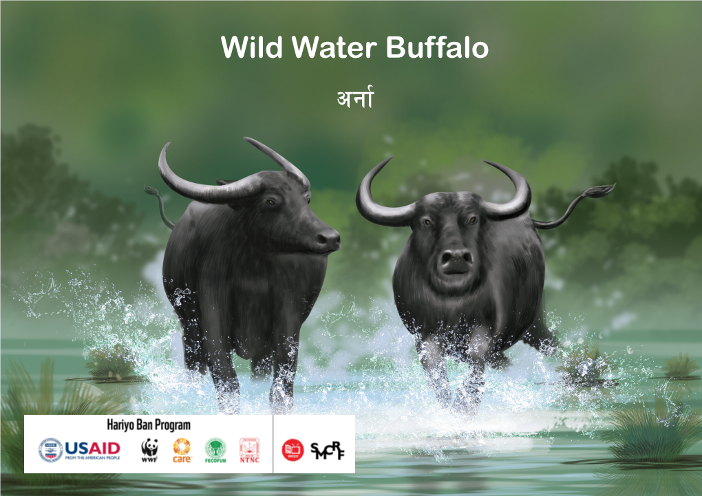 Wild Water Buffalo Cgf{ © WWF Nepal 2019 All Rights Reserved Any Reproduction of This Publication in Full Or in Part Must Mention the Title and Credit to WWF Nepal