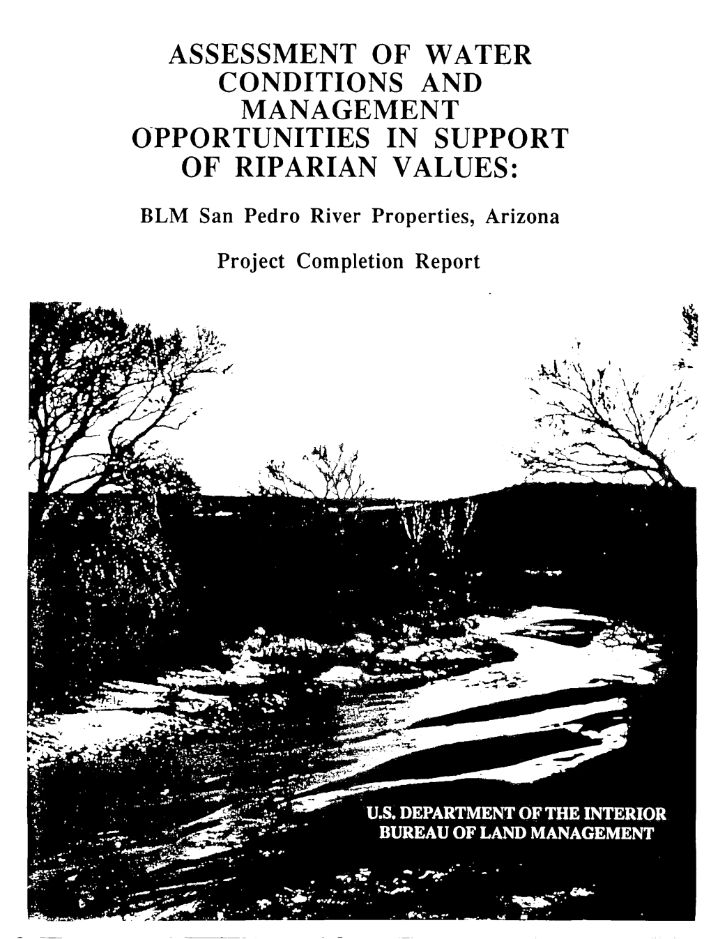 OF RIPARIAN VALUES: BLM San Pedro River Properties, Arizona