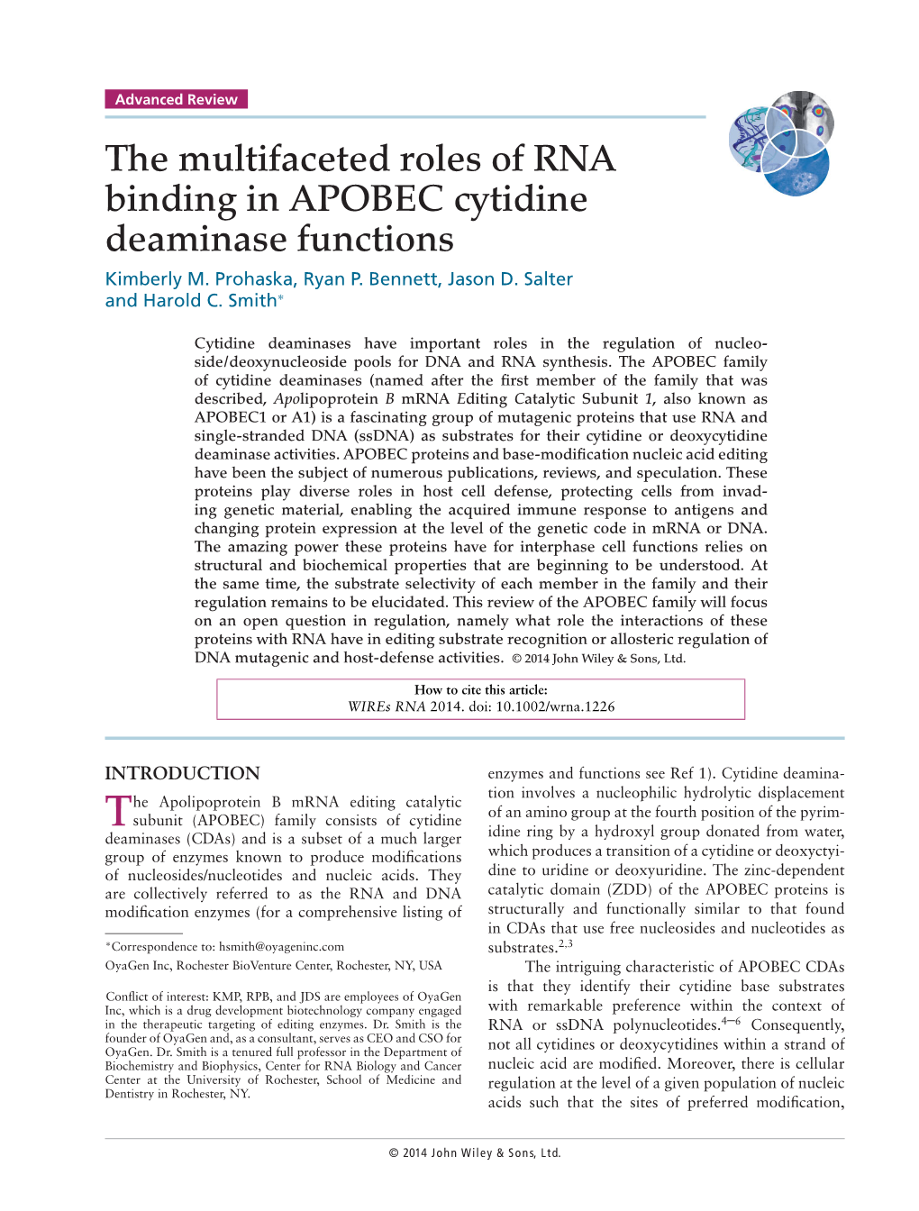 The Multifaceted Roles of RNA Binding in APOBEC Cytidine Deaminase Functions Kimberly M