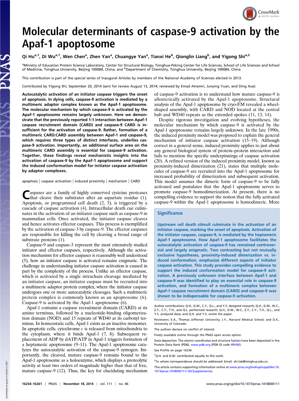 Molecular Determinants of Caspase-9 Activation by the Apaf-1 Apoptosome