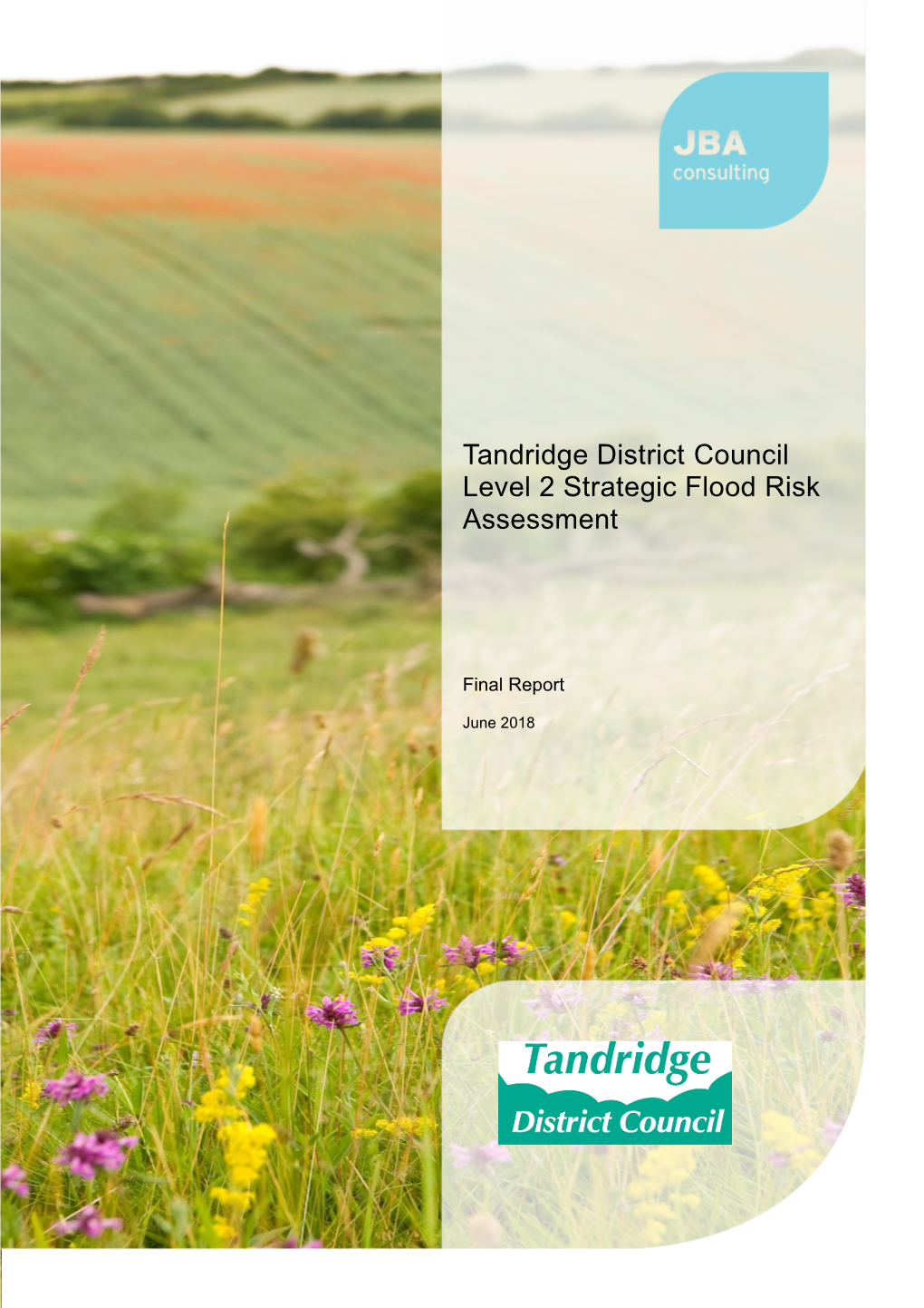 Level 2 Strategic Flood Risk Assessment (SFRA) 2018