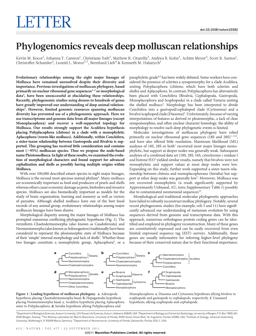 Phylogenomics Reveals Deep Molluscan Relationships