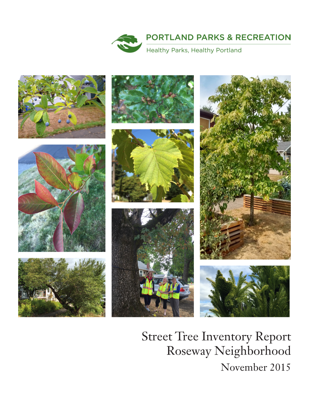 Street Tree Inventory Report Roseway Neighborhood November 2015 Street Tree Inventory Report: Roseway Neighborhood November 2015