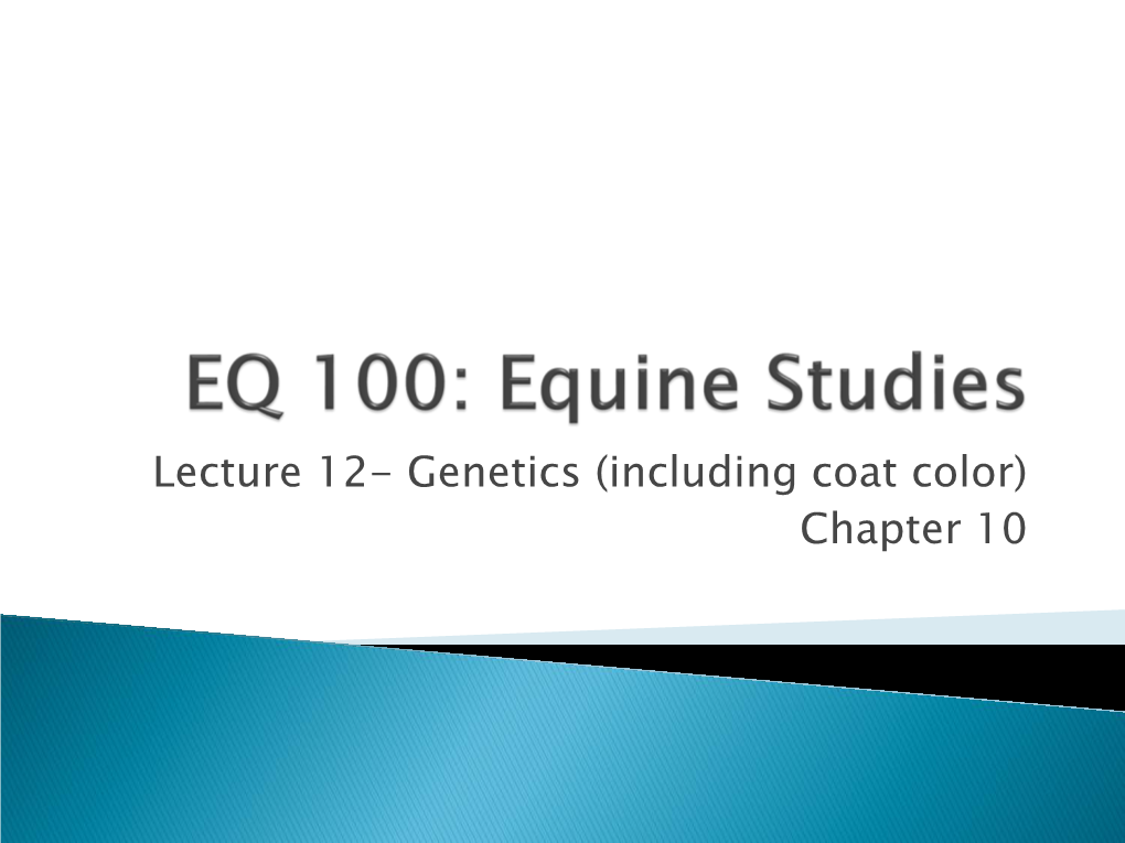 Equine Science