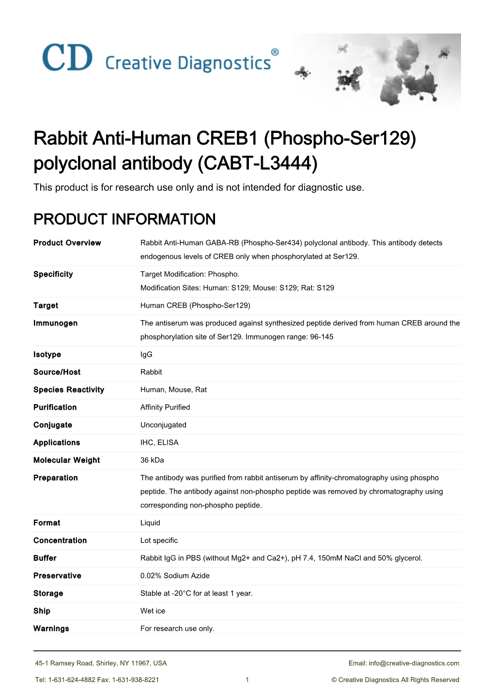 Rabbit Anti-Human CREB1 (Phospho-Ser129) Polyclonal Antibody (CABT-L3444) This Product Is for Research Use Only and Is Not Intended for Diagnostic Use