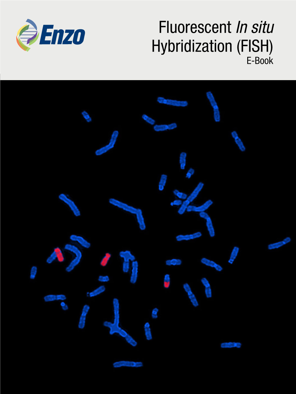 Fluorescent in Situ Hybridization (FISH) E-Book