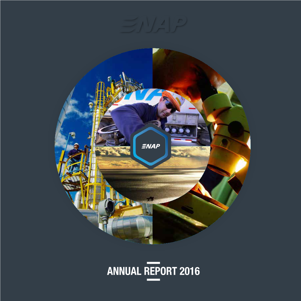 Annual Report 2016