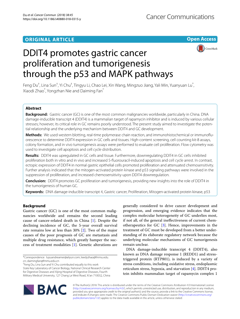 DDIT4 Promotes Gastric Cancer Proliferation and Tumorigenesis
