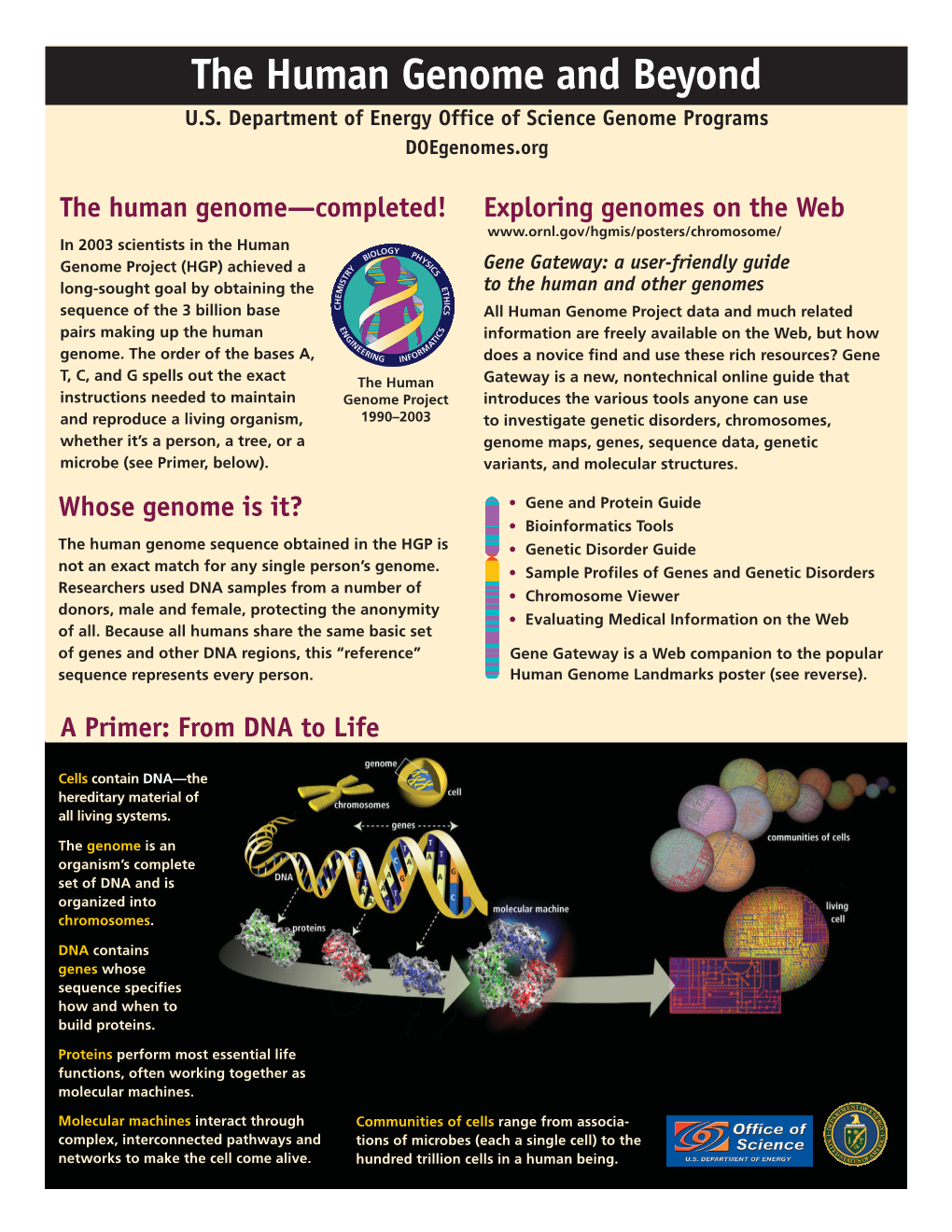 The Human Genome and Beyond U.S