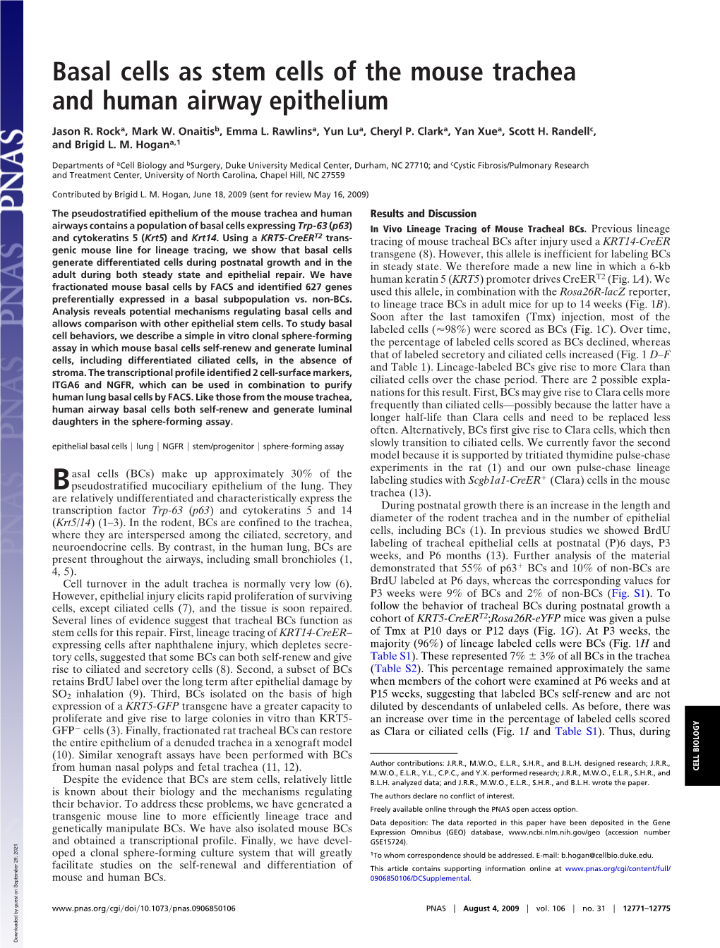 Basal Cells As Stem Cells of the Mouse Trachea and Human Airway Epithelium