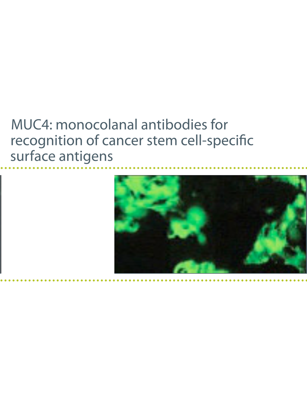 MUC4: Monocolanal Antibodies for Recognition of Cancer Stem Cell-Specific Surface Antigens the Science of Innovation