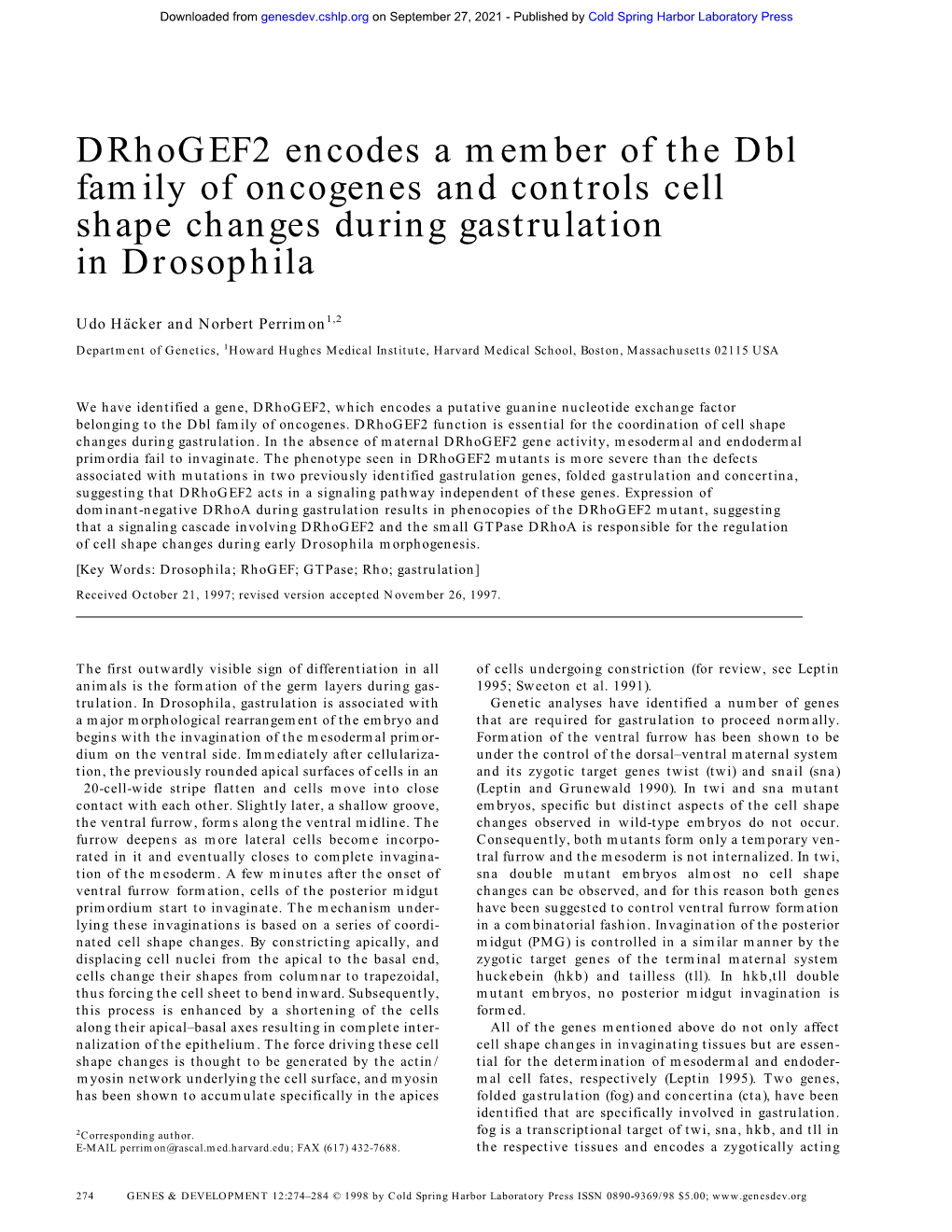 Drhogef2 Encodes a Member of the Dbl Family of Oncogenes and Controls Cell Shape Changes During Gastrulation in Drosophila