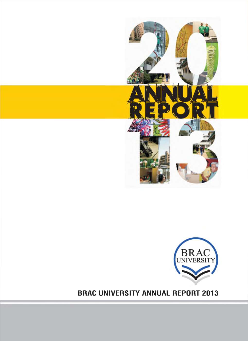 Brac Annual Report 2014