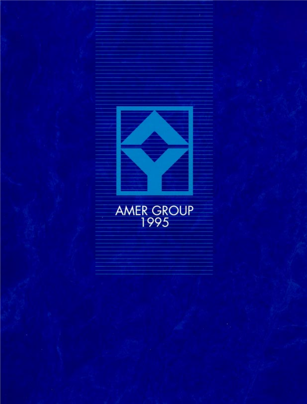 Amer Annual Report