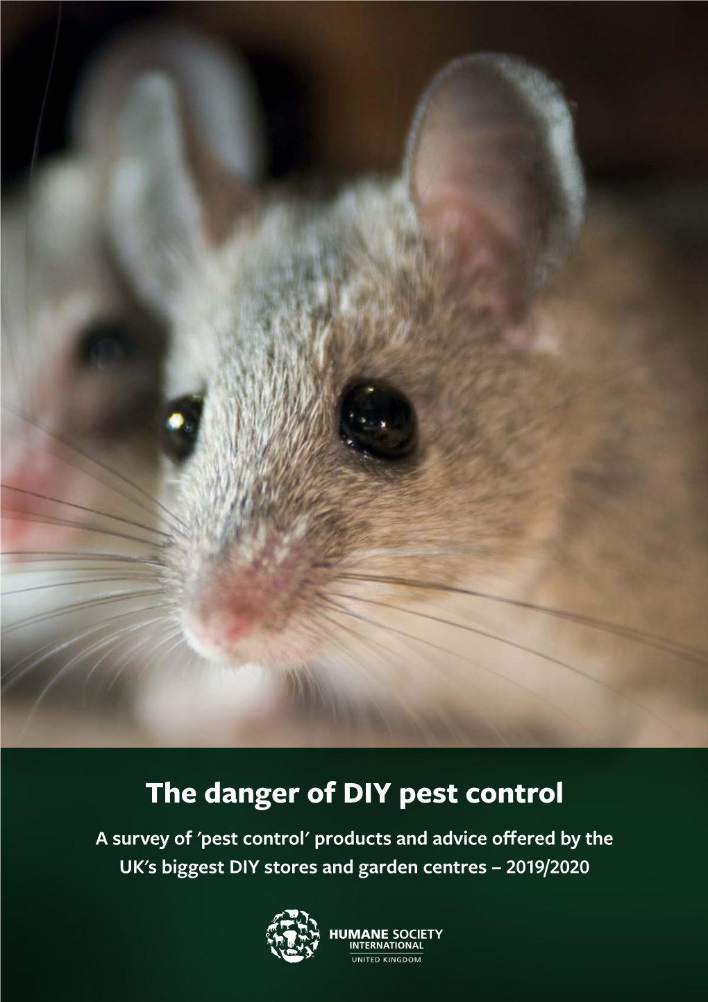 The Danger of DIY Pest Control