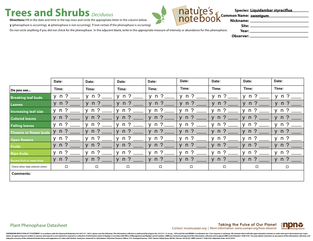 Trees and Shrubsdeciduous