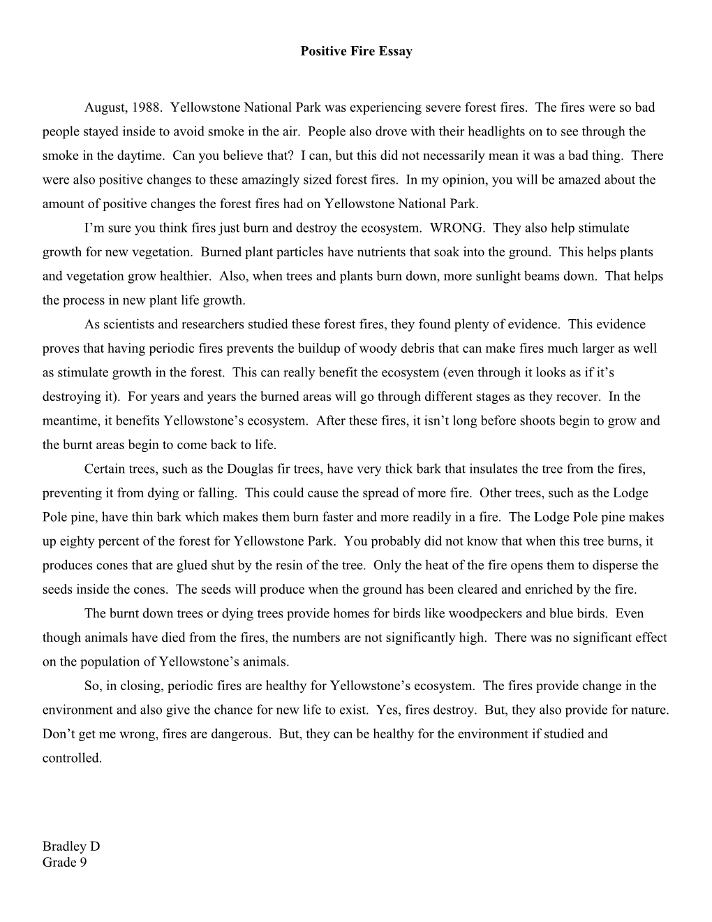 Positive Fire Essay